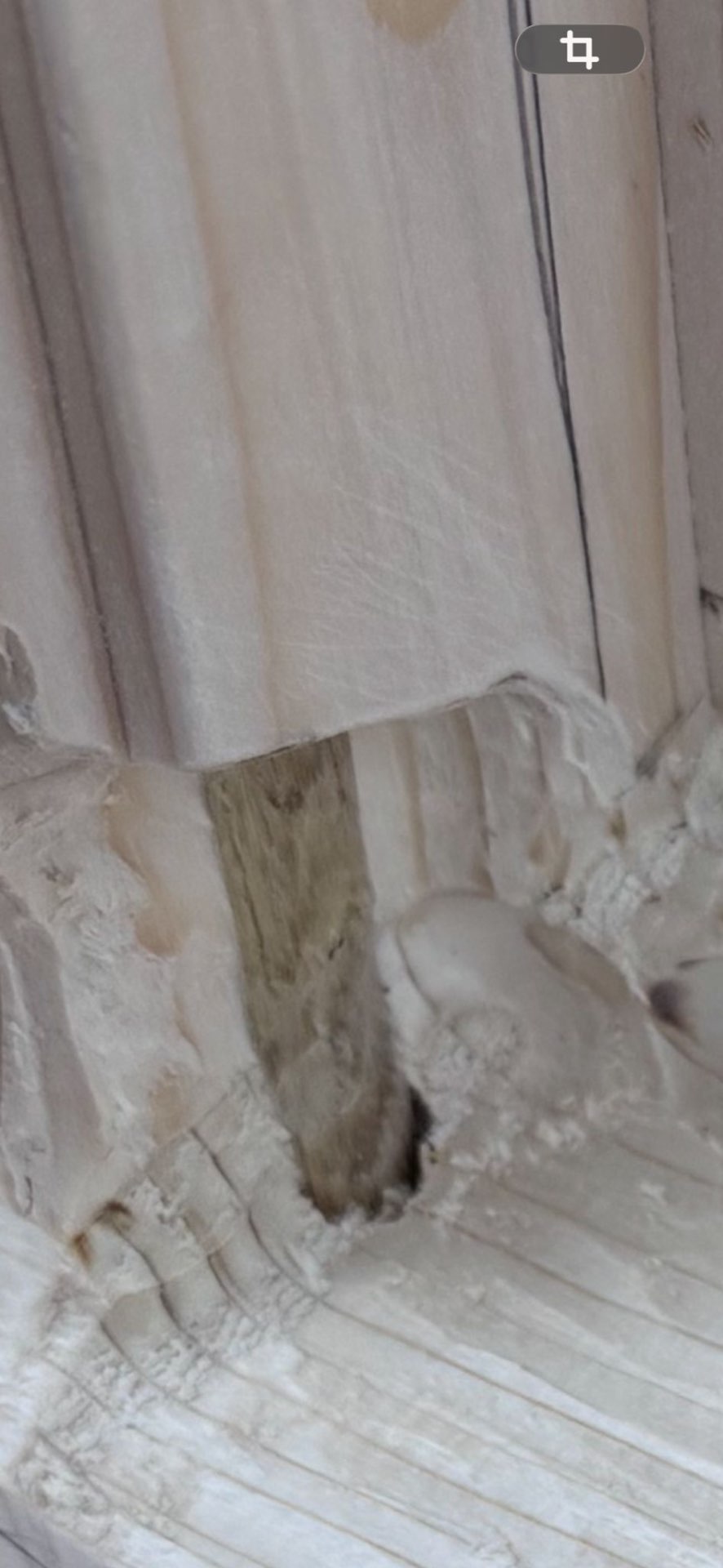Detail van houtrot in kozijn — typische schade door vocht